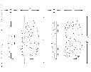 GPRD2653 (1).webp