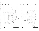 GPR0117 (1).webp