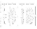 GCD2653 (1).webp
